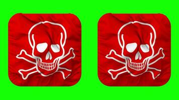 Skulls with Bones Flag in Squire Shape Isolated Seamless Looping with Plain and Bump Texture, 3D Rendering, Green Screen, Alpha Matte video