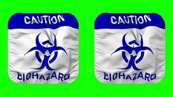 voorzichtigheid biohazard teken vlag in schildknaap vorm geïsoleerd met duidelijk en buil textuur, 3d weergave, groen scherm, alpha matte video