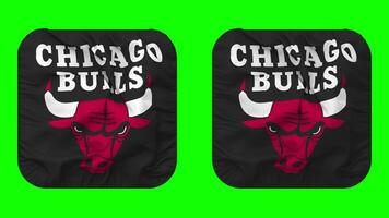 Chicago Bulls Flag in Squire Shape Isolated with Plain and Bump Texture, 3D Rendering, Green Screen, Alpha Matte video