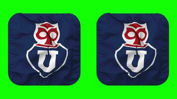 Club Universidad de Chile Flag in Squire Shape Isolated with Plain and Bump Texture, 3D Rendering, Green Screen, Alpha Matte video