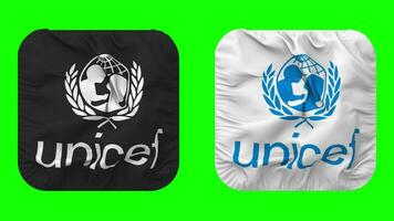 uni nations enfants fonds, unicef drapeau dans écuyer forme isolé avec plaine et bosse texture, 3d le rendu, vert filtrer, alpha mat video