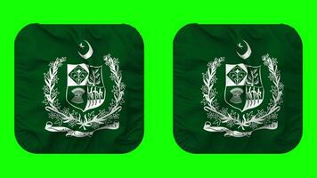 State Emblem of Pakistan, Coat of Arms Flag in Squire Shape Isolated with Plain and Bump Texture, 3D Rendering, Green Screen, Alpha Matte video