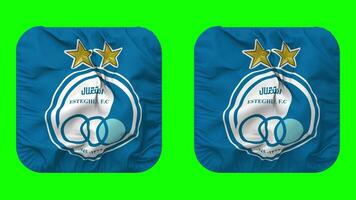 esteghlal fútbol americano club bandera en escudero forma aislado con llanura y bache textura, 3d representación, verde pantalla, alfa mate video