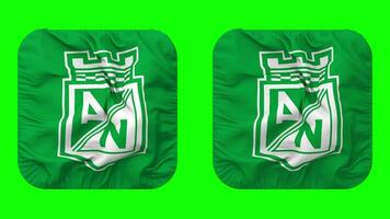 Atletico Nacional SA Football Club Flag in Squire Shape Isolated with Plain and Bump Texture, 3D Rendering, Green Screen, Alpha Matte video