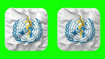 World Health Organization, WHO Flag in Squire Shape Isolated with Plain and Bump Texture, 3D Rendering, Green Screen, Alpha Matte video