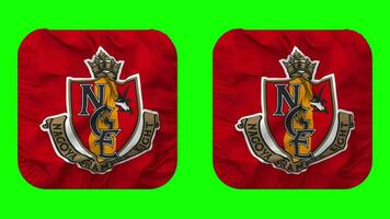 Nagoya Grampus Football Club Flag in Squire Shape Isolated with Plain and Bump Texture, 3D Rendering, Green Screen, Alpha Matte video