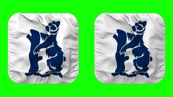Birmingham Bears, Warwickshire County Cricket Club Flag in Squire Shape Isolated with Plain and Bump Texture, 3D Rendering, Green Screen, Alpha Matte video