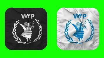 monde nourriture programme, wfp drapeau dans écuyer forme isolé avec plaine et bosse texture, 3d le rendu, vert filtrer, alpha mat video