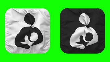 Breastfeeding Icons Flag in Squire Shape Isolated with Plain and Bump Texture, 3D Rendering, Green Screen, Alpha Matte video