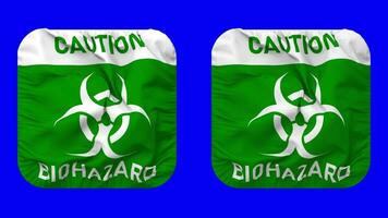 voorzichtigheid biohazard teken vlag in schildknaap vorm geïsoleerd met duidelijk en buil textuur, 3d weergave, groen scherm, alpha matte video