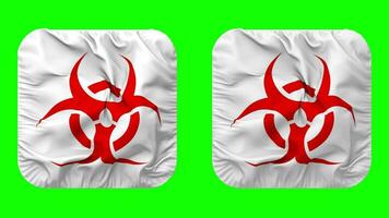 Danger biologique signe drapeau dans écuyer forme isolé avec plaine et bosse texture, 3d le rendu, vert filtrer, alpha mat video