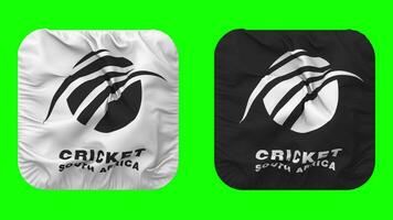 Cricket South Africa, CSA Flag in Squire Shape Isolated with Bump Texture, 3D Rendering, Green Screen, Alpha Matte video