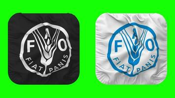 Food and Agriculture Organization, FAO Flag in Squire Shape Isolated with Plain and Bump Texture, 3D Rendering, Green Screen, Alpha Matte video