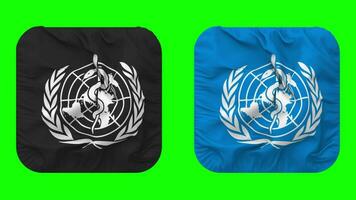 World Health Organization, WHO Flag in Squire Shape Isolated with Plain and Bump Texture, 3D Rendering, Green Screen, Alpha Matte video