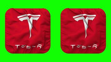 tesla inc drapeau dans écuyer forme isolé avec plaine et bosse texture, 3d le rendu, vert filtrer, alpha mat video