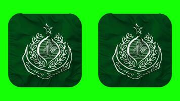 gobierno de sindh bandera en escudero forma aislado con llanura y bache textura, 3d representación, verde pantalla, alfa mate video