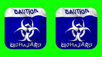 Cuidado risco biológico placa bandeira dentro escudeiro forma isolado com avião e colisão textura, 3d Renderização, verde tela, alfa fosco video
