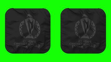 ICC Men Cricket World Cup 2023 India Flag in Squire Shape Isolated with Plain and Bump Texture, 3D Rendering, Green Screen, Alpha Matte video