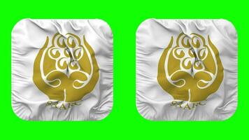 South Asian Association for Regional Cooperation, SAARC Flag in Squire Shape Isolated with Plain and Bump Texture, 3D Rendering, Green Screen, Alpha Matte video
