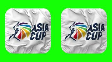 Asia Cup Flag in Squire Shape Isolated with Plain and Bump Texture, 3D Rendering, Green Screen, Alpha Matte video