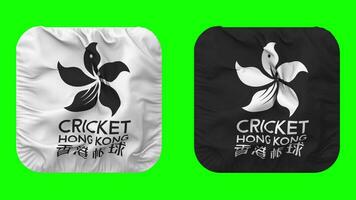 cricket hong kong bandiera nel scudiero forma isolato con urto struttura, 3d rendering, verde schermo, alfa Opaco video