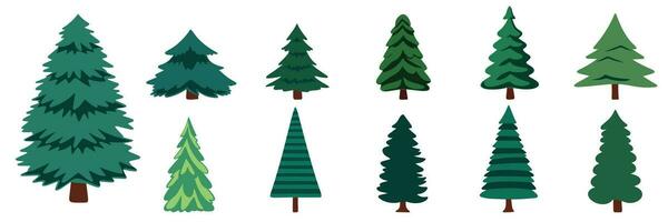 Set of pine trees in flat style. Fir trees isolated on white background. Christmas decor. Collection of spruce. Vector illustration.