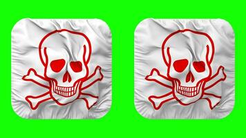 Skulls with Bones Flag in Squire Shape Isolated Seamless Looping with Plain and Bump Texture, 3D Rendering, Green Screen, Alpha Matte video