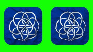 Terre logo drapeau dans écuyer forme isolé avec plaine et bosse texture, 3d le rendu, vert filtrer, alpha mat video