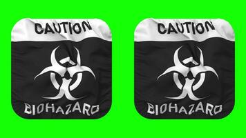 mise en garde Danger biologique signe drapeau dans écuyer forme isolé avec plaine et bosse texture, 3d le rendu, vert filtrer, alpha mat video