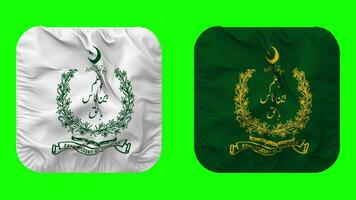 Supreme Court of Pakistan Flag in Squire Shape Isolated with Plain and Bump Texture, 3D Rendering, Green Screen, Alpha Matte video