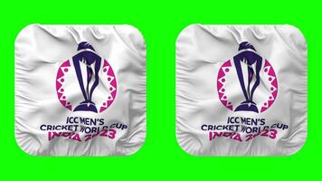 icc uomini cricket mondo tazza 2023 India bandiera nel scudiero forma isolato con pianura e urto struttura, 3d rendering, verde schermo, alfa Opaco video