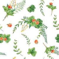 Seamless watercolor pattern with cloudberry leaves and berries, fern, green branches, yellow wildflowers. Botanical summer hand drawn illustration. Can be used for gift wrapping paper, kitchen textile vector