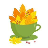 Autumn leaves in teacup. Vector illustration. Fall composition with autumn plant elements, twigs and berries. Drawing of mug with saucer.