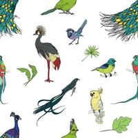 Realistic hand drawn colorful seamless pattern of beautiful exotic tropical birds with palm leaves. Flamingos, cockatoo, hummingbird, toucan, peacock. vector