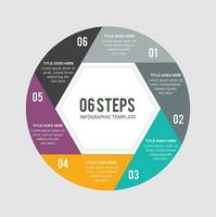 seis pasos opciones circulo redondo infografía modelo vector