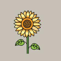 dibujar un girasol vector