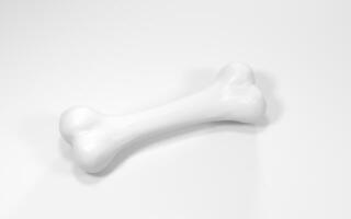 Bone isolated on white background, 3d rendering. photo