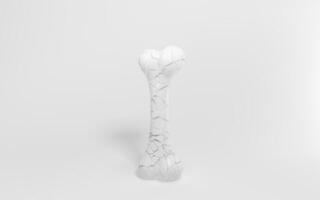 Crack bone isolated on white background, 3d rendering. photo