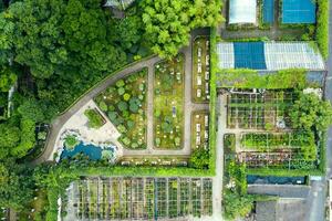 Aerial of Ancient traditional garden, Suzhou garden, in China. photo