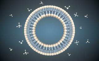 Cell Membrane and Molecules, 3d rendering. photo