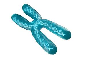 Chromosome with white background, 3d rendering. photo