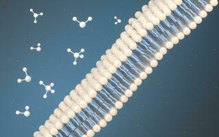 Cell Membrane and Molecules, 3d rendering. photo