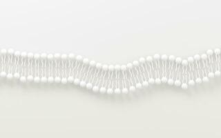 Cell membrane with white background, 3d rendering. photo