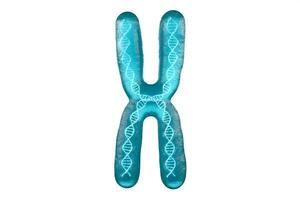 Chromosome with white background, 3d rendering. photo