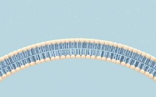 Cell membrane with blue background, 3d rendering. photo