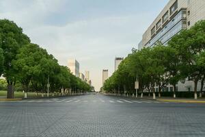 The brick road with trees on both sides. photo