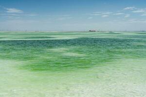 The green saline lake, natural lake background. photo