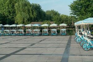 el bicicleta recreativo vehículo en un público parque. foto