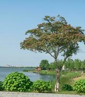 The cottage by the lake on a sunny day. photo