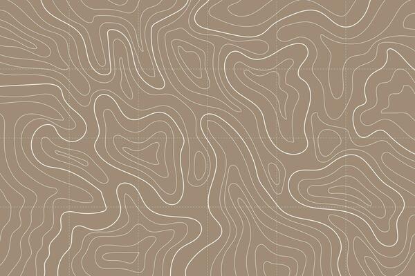 Topographic Pattern Vector Art, Icons, and Graphics for Free Download